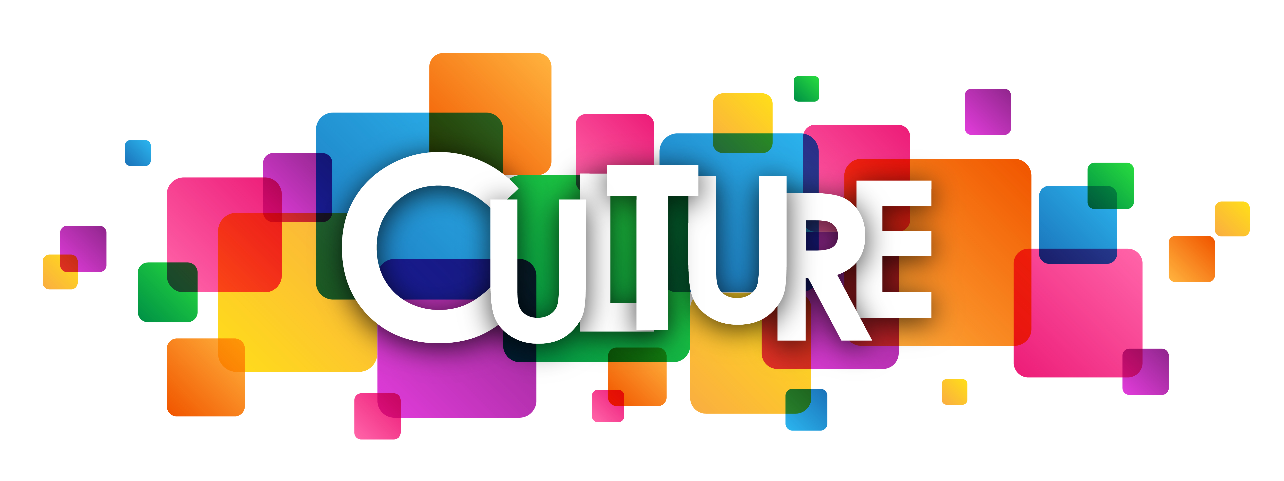 What Is The Best Definition For Culture